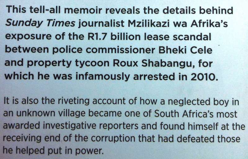 Nothing Left to Steal - Mzilikazi Wa Afrika - Jailed for Telling the Truth