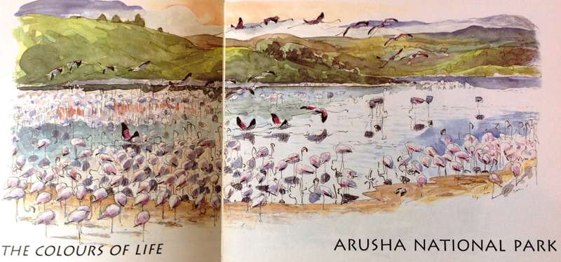 Tanzania Notebooks-the northern trails - Denis Clavreul, Guillemette de Grissac, Philippe de Grissac