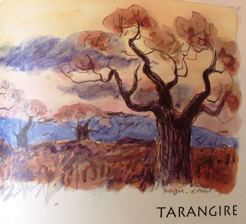 Tanzania Notebooks-the northern trails - Denis Clavreul, Guillemette de Grissac, Philippe de Grissac