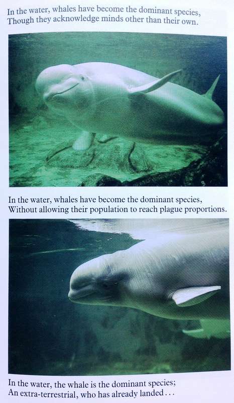 Whale Nation - Heathcote Williams