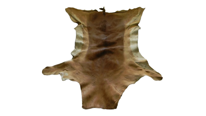 A grade Impala skin / hide