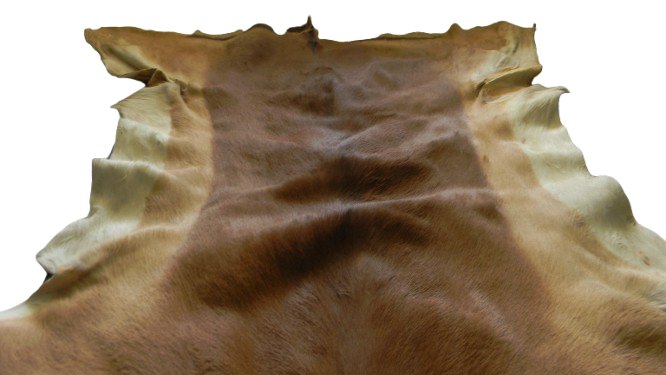 A grade Impala skin / hide