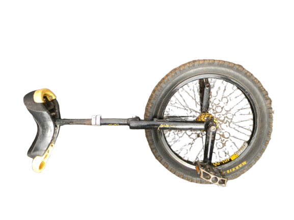 JLXJ Large 20" Unicycle, Adults Big Kids Beginner One Wheel Balancing Bike