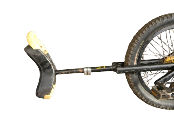 JLXJ Large 20" Unicycle, Adults Big Kids Beginner One Wheel Balancing Bike