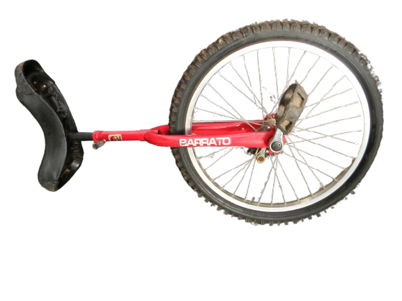 Fun Fun 24 Unicycle