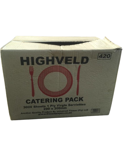 Takeaway Seviettters 300mm x 200mm