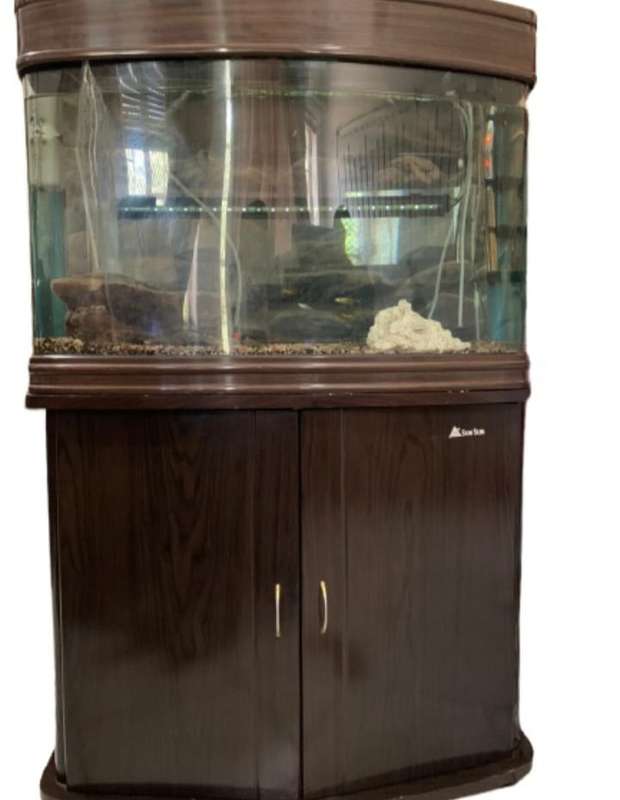 Aquarium Fish Tank With Stand