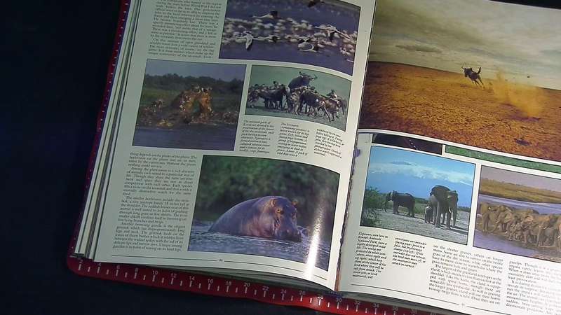book Africa the mighty continentRubert o matthews