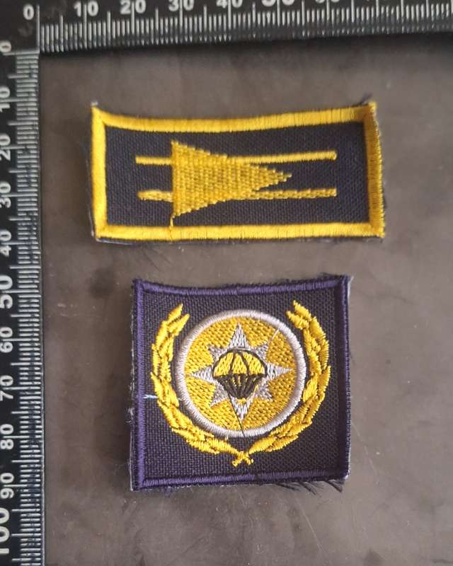 SAAF Mustering and Proficiency Forward Air Controller & Survival badges