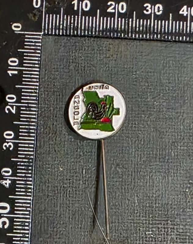 UNITA Membership Pin