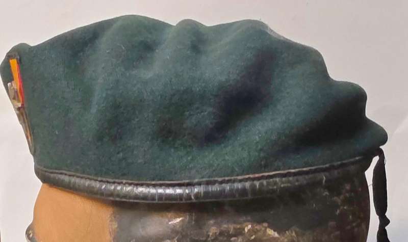 USA 3rd Special Forces Group Green Beret