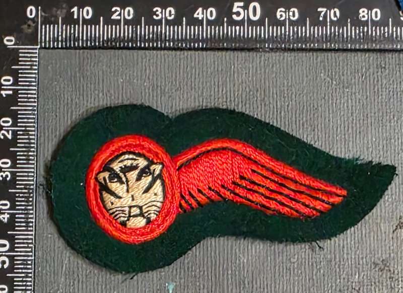 HOMELANDS Bophuthatswana Air Force Navigators Brevet