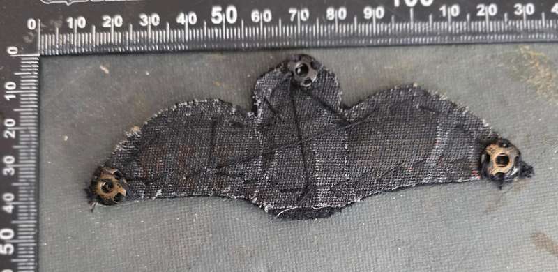 ROYAL RHODESIAN PILOT WINGS