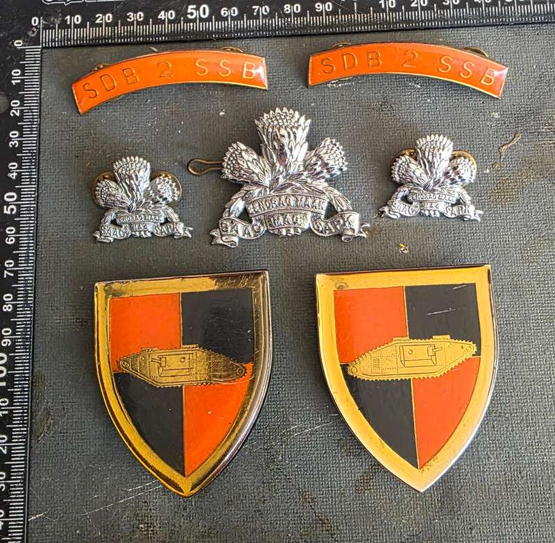SADF SSB BADGE SET