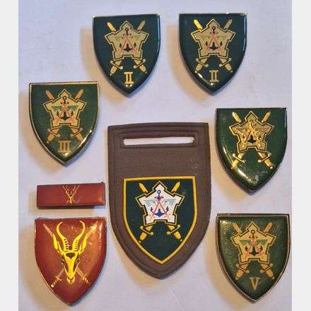 SADF Chief of The SADF Badge Lot