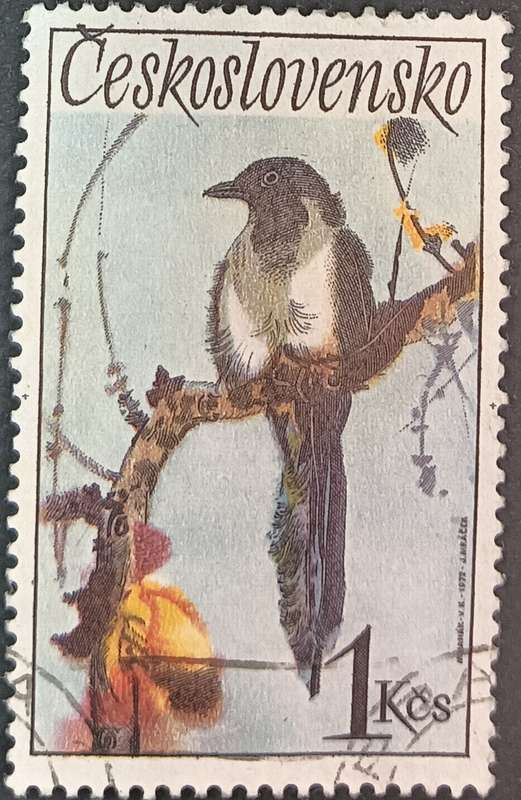 Czechoslovakia 1972 Songbirds 1Kcs used