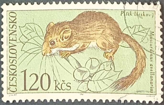Czechoslovakia 1967 Fauna of Tatra National Park 1.2Kc used