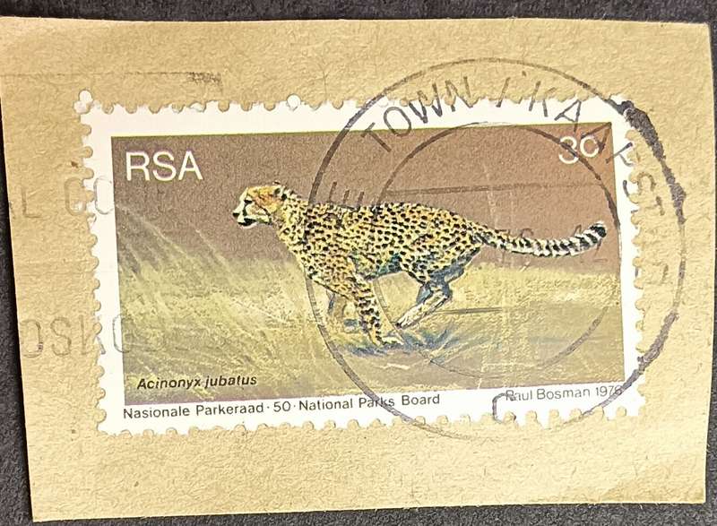 RSA 1976 World Environment Day 3c on piece - Cape Town Cancellation