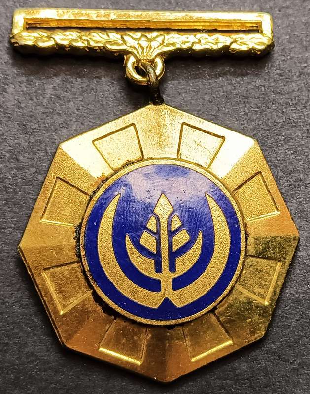 SADF Pro Patria Medal 27748 ` Early Swivel Suspender and Enamel Face