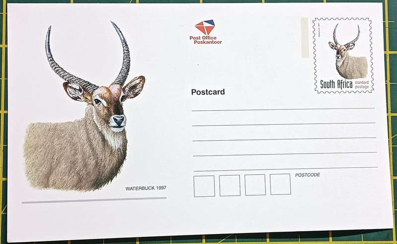RSA 1997 Kudu Postcard unused