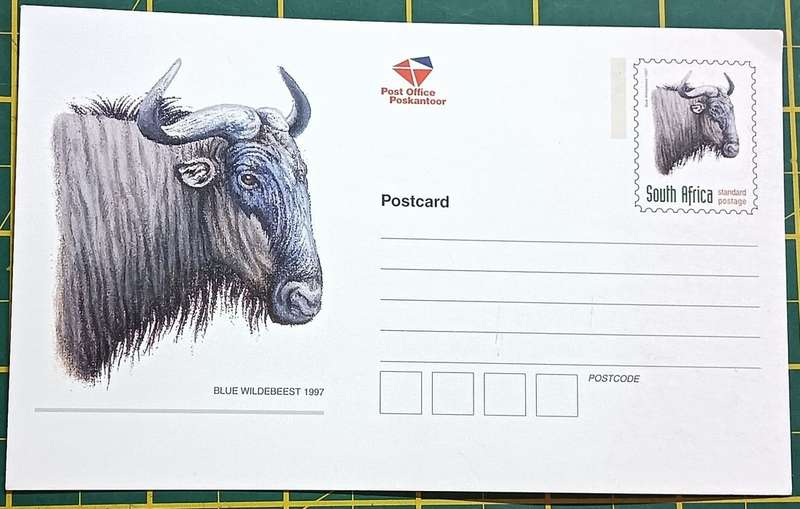 RSA 1997 Blue Wildebeest Postcard unused