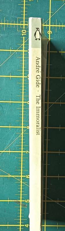 The Immoralist - Andre Gide - Softcover - 159 pages