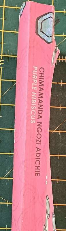 Purple Hibiscus - Chimamanda Ngozi Adicie - Softcover - 307 pages