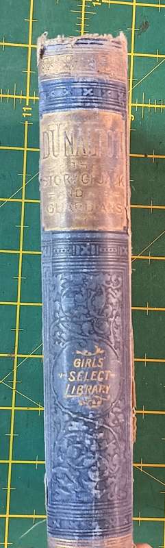 Dunalton - The Story of Jack and His Guardians (1891) - Louisa M. Gray - Hardcover - 325 pages
