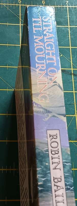 Straight on Till Mourning - Robin Bailey - Softcover - 280 pages