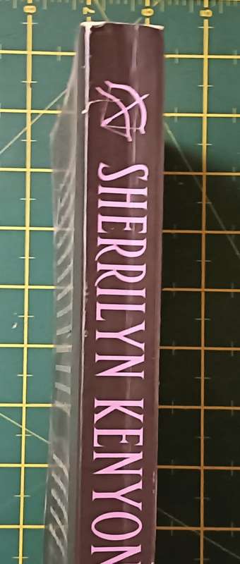 Devil May Cry - Sherrilyn Kenyon - Softcover - Fantasy - 307 pages