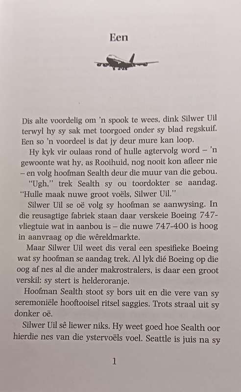Klein Grootvoel, die Getoorde Boeing - Nico Venter - Softcover - 101 pages