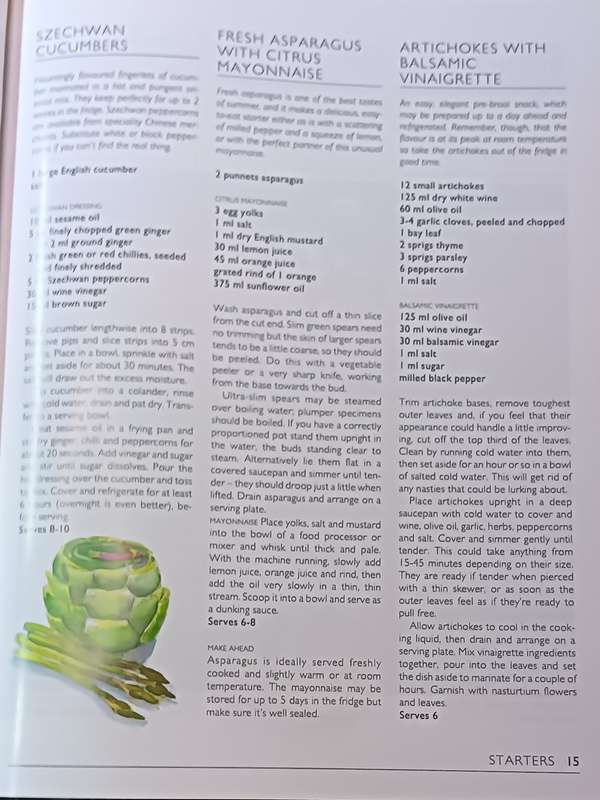 Braai in Style - The Complete South African Outdoor Cookbook - Lannice Snyman - Softcover - 96 pgs
