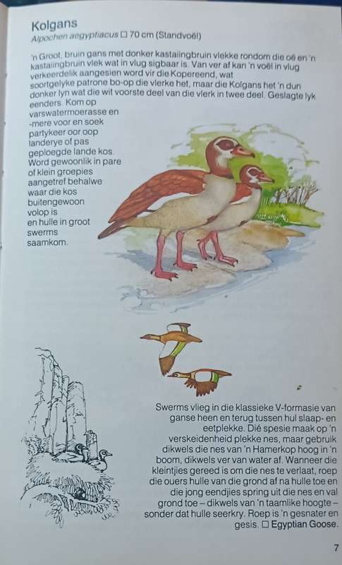 Hoëveld voëls - Ian Sinclair & Douglas Goode -Hardcover - 64 Pages