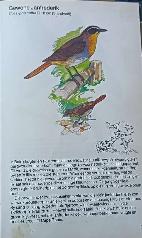 Hoëveld voëls - Ian Sinclair & Douglas Goode -Hardcover - 64 Pages