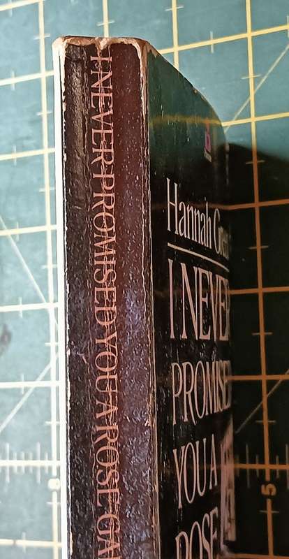 I Never Promised You a Rose Garden - Hannah Green - Softcover - 251 Pages