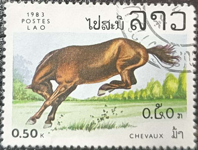 Laos 1983 Horses 0.50K used