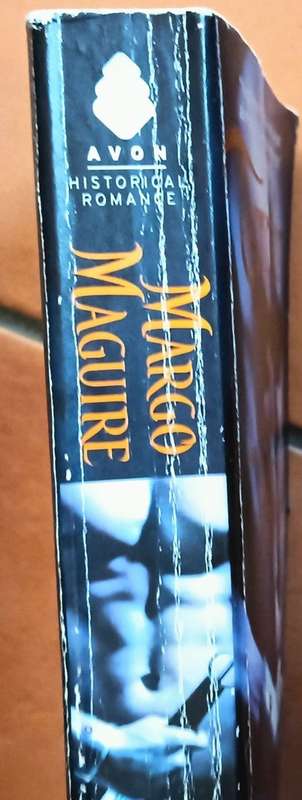 Temptation of the Warrior - Margo Maguire - Softcover - 373 Pages