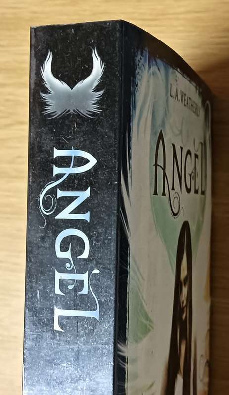 Angel - L.A. Weatherly - Softcover - 507 Pages