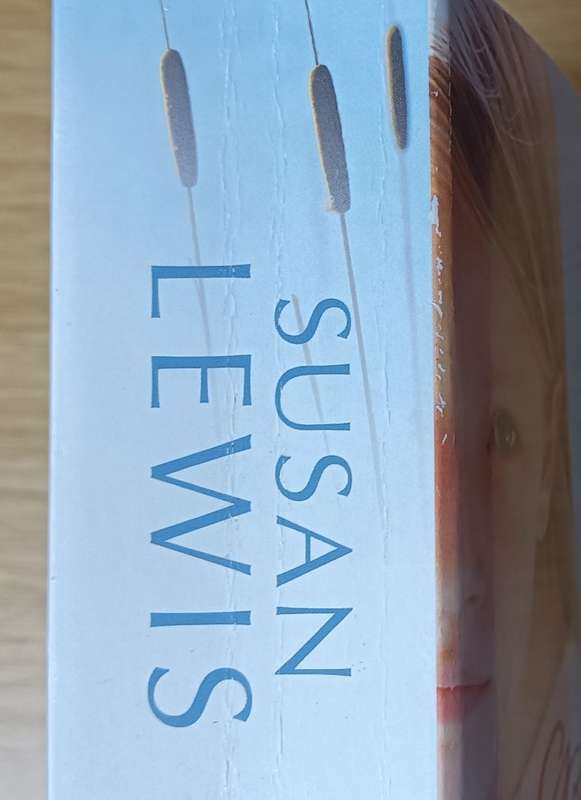 Stolen Beginnings - Susan Lewis - Softcover - 729 pages