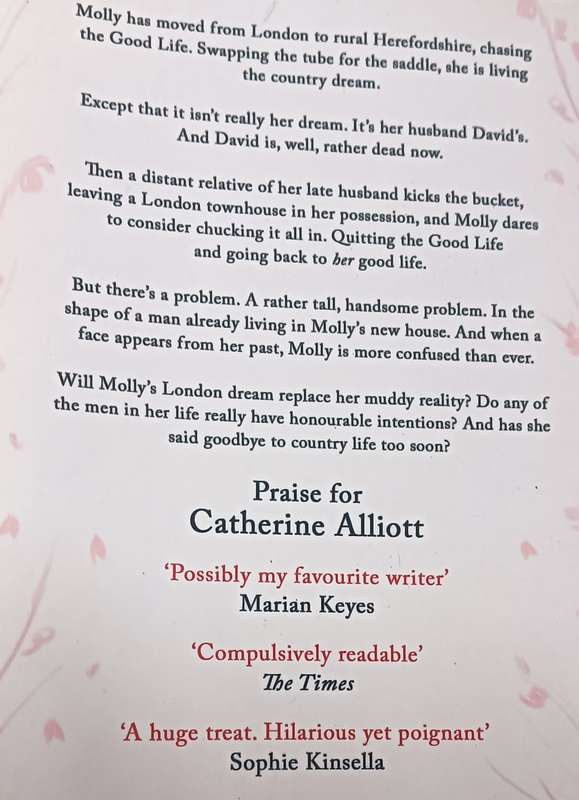 About Last Night - Catherine Alliott  - Softcover - 390 pages