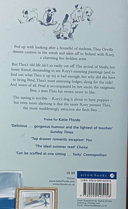 Artistic Licence - Katie Fforde - Softcover - 354 pages