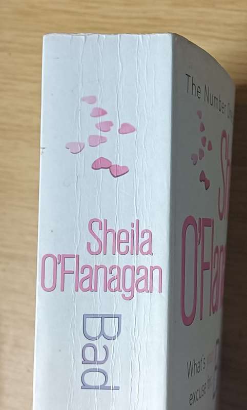 Bad Behaviour - Sheila O'Flanagan - Softcover - 598 pages