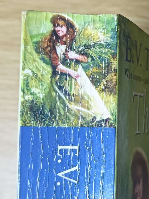 The Lost Years - E.V. Thompson - Softcover - 504 Pages