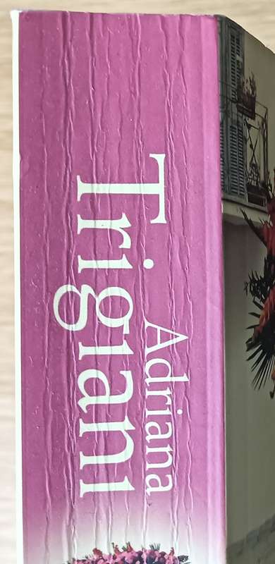 Rococo - Adriana Trigiani - Softcover - 387 Pages