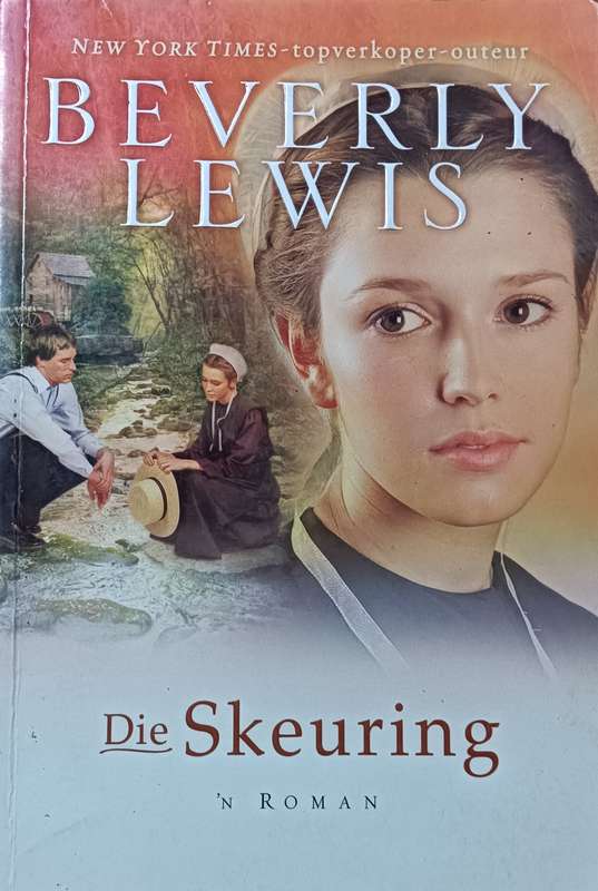 Die Skeuring - Bevely Lewis - Softcover - 321 Pages