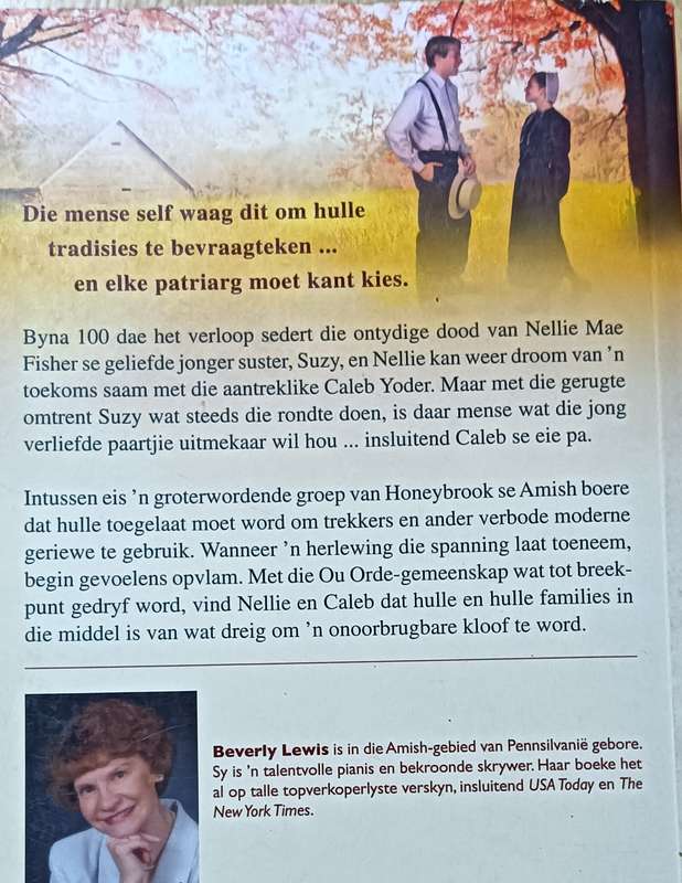 Die Skeuring - Bevely Lewis - Softcover - 321 Pages