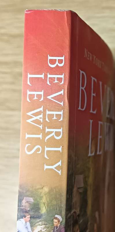 Die Skeuring - Bevely Lewis - Softcover - 321 Pages