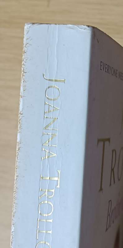Brother & Sister - Joanna Trollope - Softcover - 311 Pages