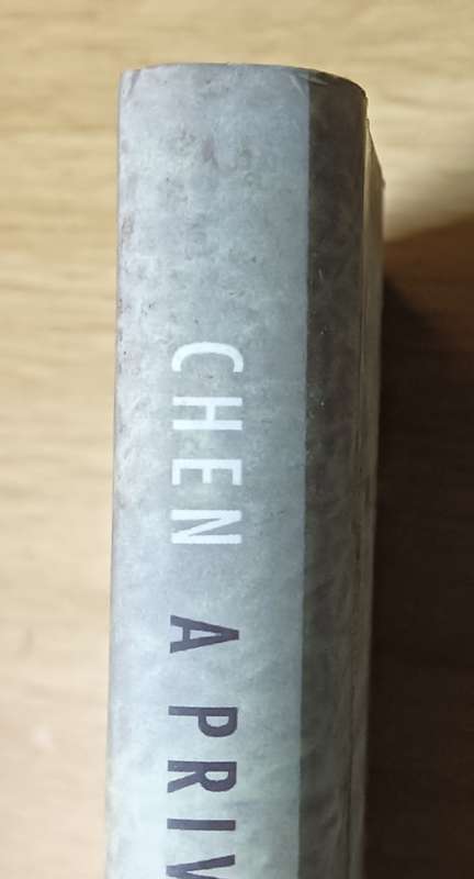 A Private Life - Ran Chen - Hardcover - 214 Pages