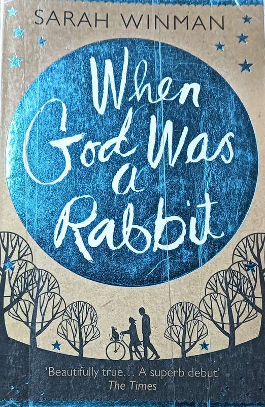 When God was a Rabit - Sarah Winman - Softcover - 339 pages